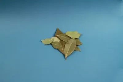 Bay Leaves (Tej Patta)